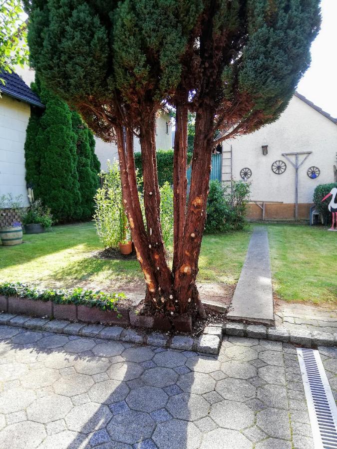 Ferienappartement Obrigheim Mosbach  Extérieur photo