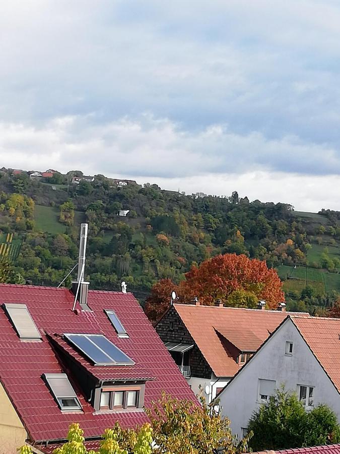 Ferienappartement Obrigheim Mosbach  Extérieur photo
