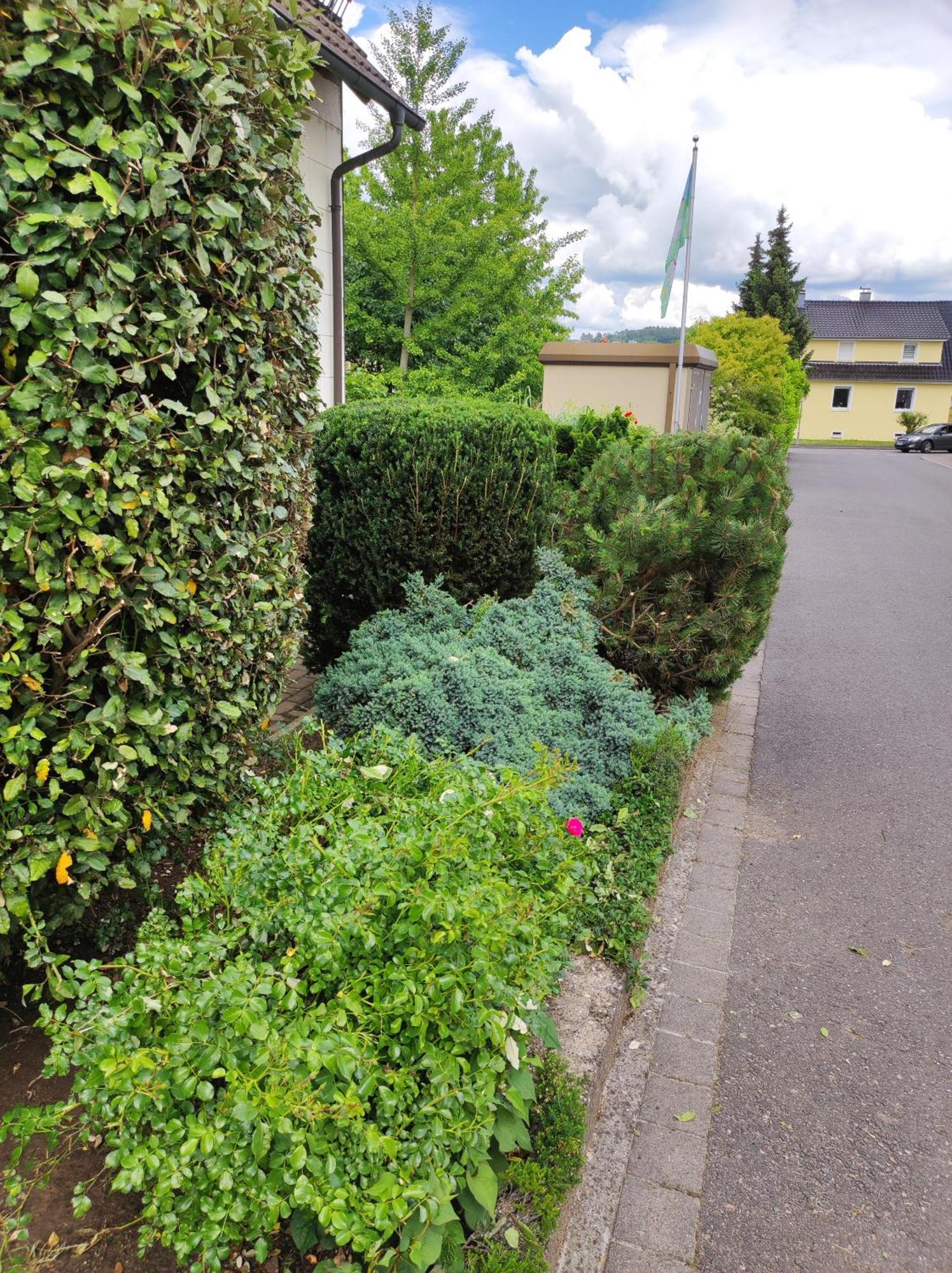 Ferienappartement Obrigheim Mosbach  Extérieur photo