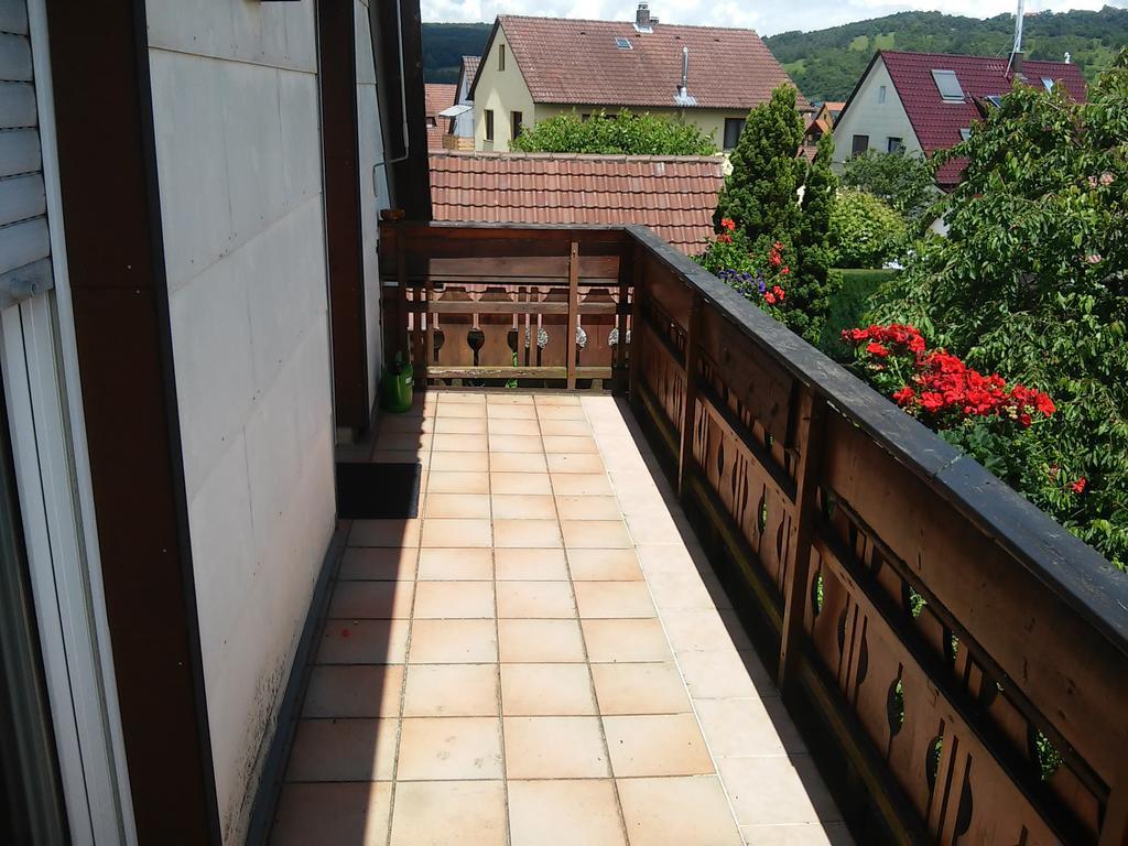Ferienappartement Obrigheim Mosbach  Extérieur photo
